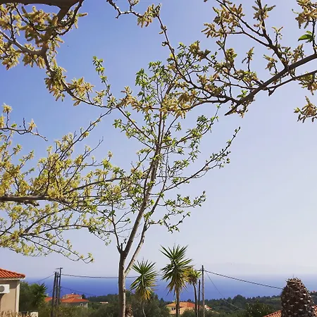 Villa Oneira Trapezaki (Kefalonia)